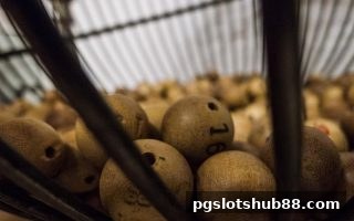 pg电子平台上的龙虎与单双玩法：新手必知的基础策略解析