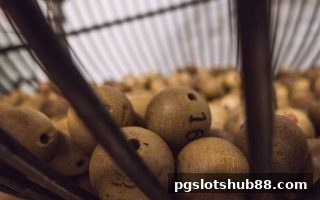 pg电子平台深度解读：泰达币重塑彩票支付与用户体验的新趋势