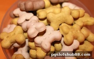 轮盘每日签到福利全攻略：pg电子平台助你轻松获取额外筹码