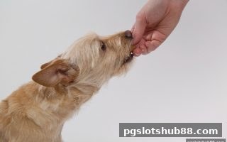 pg电子平台新玩家银行卡充值返利全攻略：英超赛事专属福利揭秘