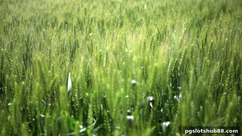 pg电子平台首次存款回馈福利：解锁现金奖励与高效流转攻略