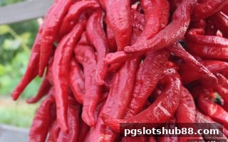 pg电子平台每日充值福利全解析：奖励机制与合规选择