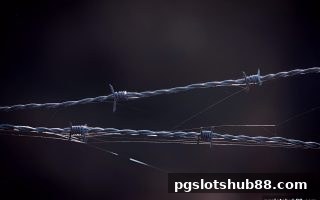 pg电子平台解析黑平台陷阱：识别特征与高效维权指南