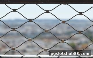 pg电子平台玩家必读：网络娱乐安全与组合下注的深度实战指南