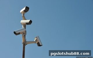 pg电子平台玩家权益保护指南：从规则读懂到纠纷化解